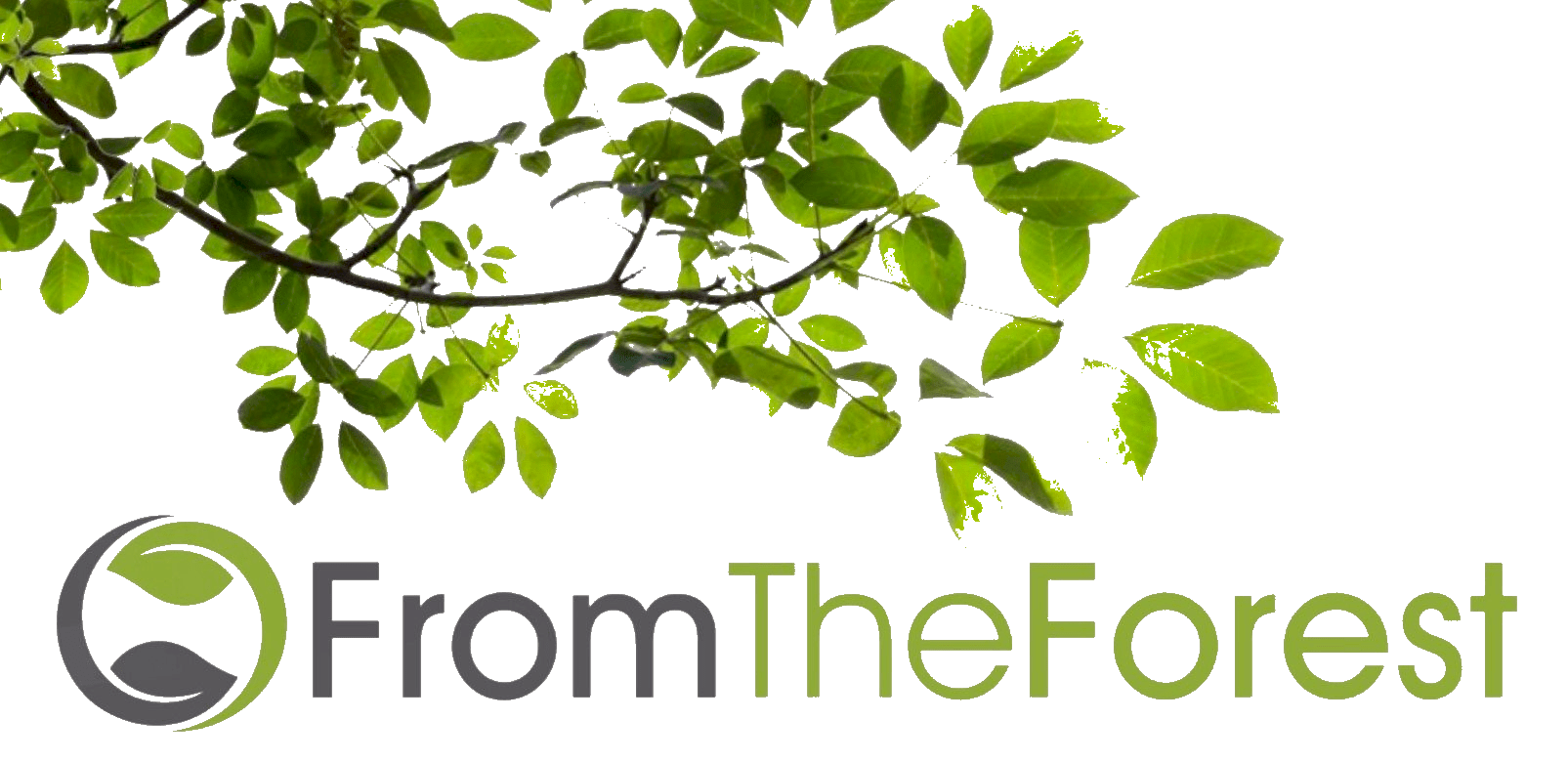 logo.fromtheforest